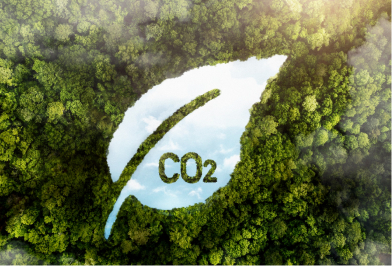 CO2 Reduction